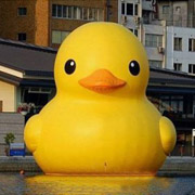 inflatable duck swim ring